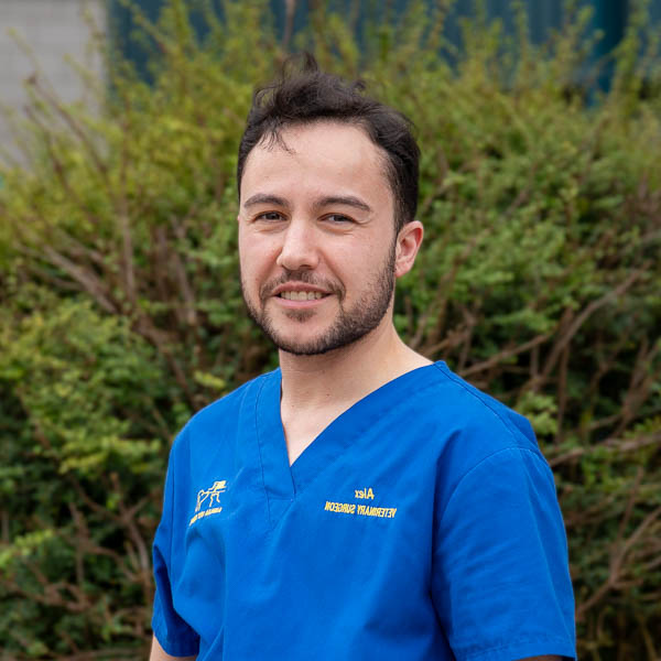 Alex Ruiz - AVC (Web)