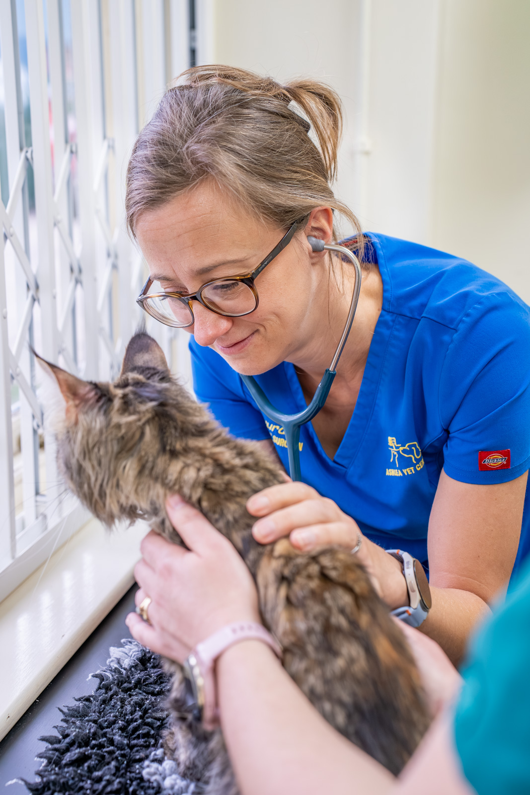 Ashlea Veterinary Centre (Web) 005