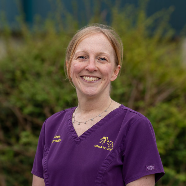 Katie Gibson - AVC (Web)