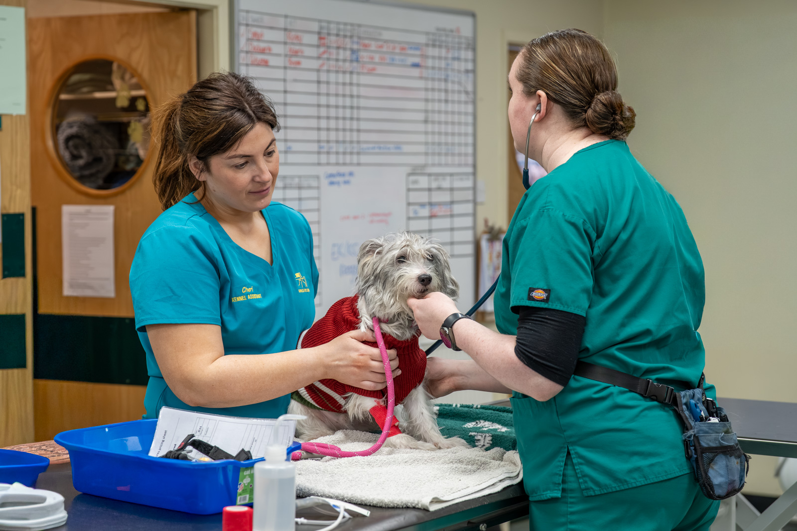 Ashlea Veterinary Centre (Web) 064