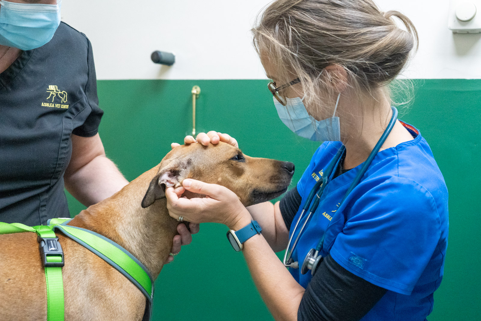 Ashlea Veterinary Centre (Web)-100075