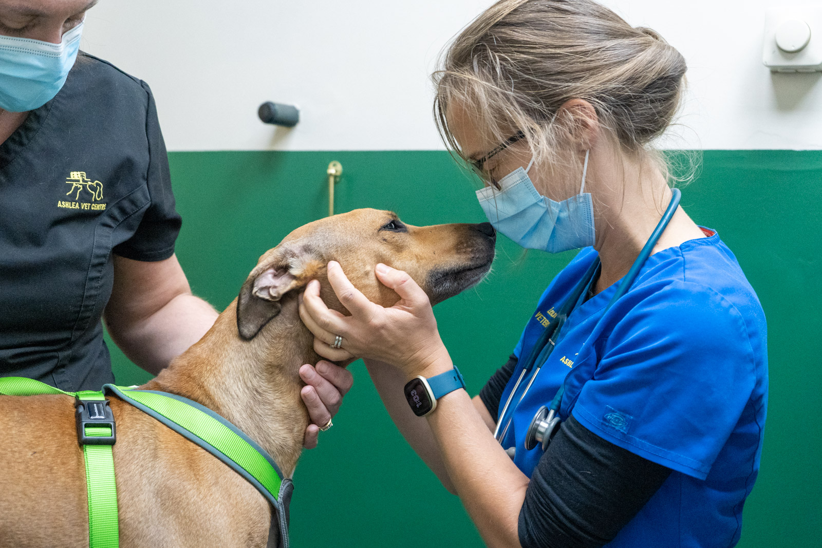 Ashlea Veterinary Centre (Web)-100081