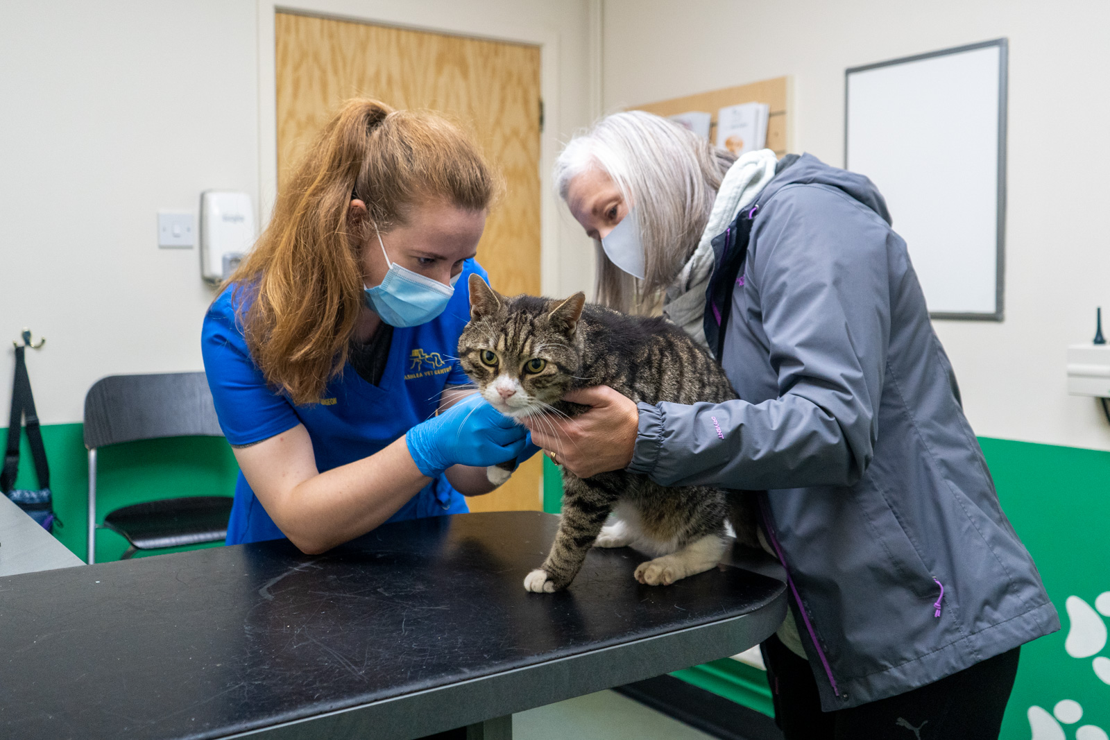 Ashlea Veterinary Centre (Web)-109242