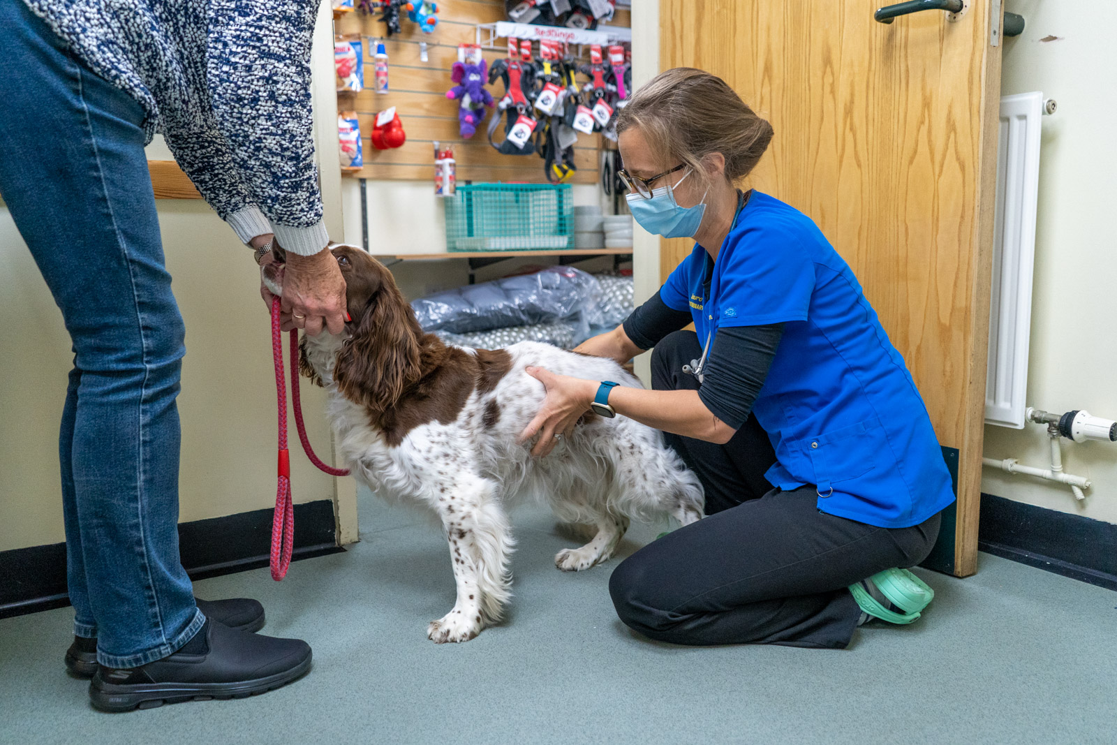 Ashlea Veterinary Centre (Web)-109558